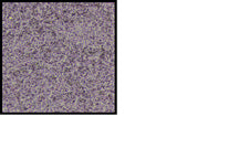 CRPT-4
