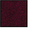 CRPT-7