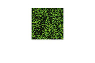 94446 (GC-9 / pack of 1)