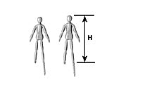 93315 (MFI-24 / Cat. pack of 2)