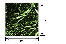 91872 (PSP-63 / Cat. pack of 2)