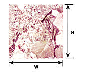 91874 (PSP-65 / Cat. pack of 2)