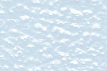 91814 (WPRC-608 / pack of 1)